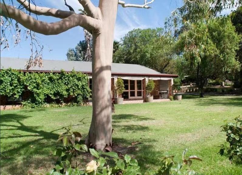 Blickinstal Barossa Valley Accommodation Exterior foto