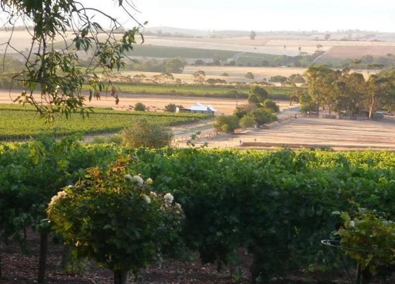 Blickinstal Barossa Valley Accommodation Exterior foto