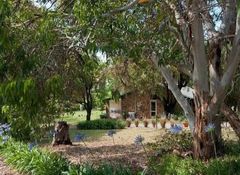Blickinstal Barossa Valley Accommodation Exterior foto