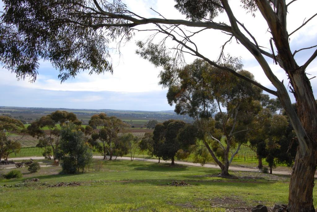 Blickinstal Barossa Valley Accommodation Exterior foto