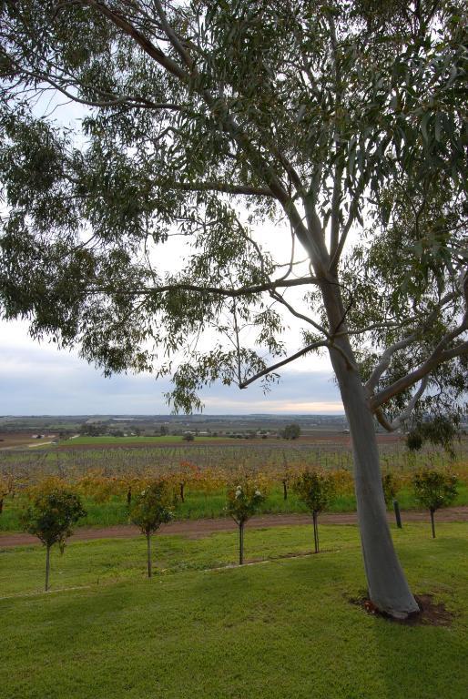 Blickinstal Barossa Valley Accommodation Exterior foto