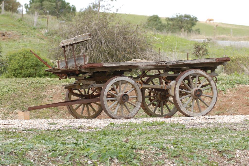 Blickinstal Barossa Valley Accommodation Exterior foto